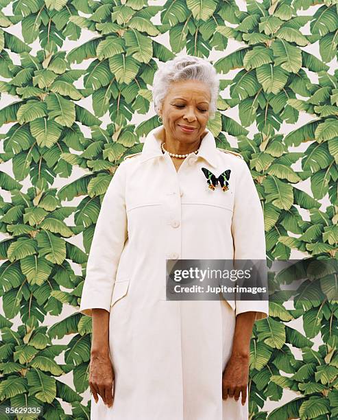 woman looking at butterfly pin - brooch elegant stock-fotos und bilder