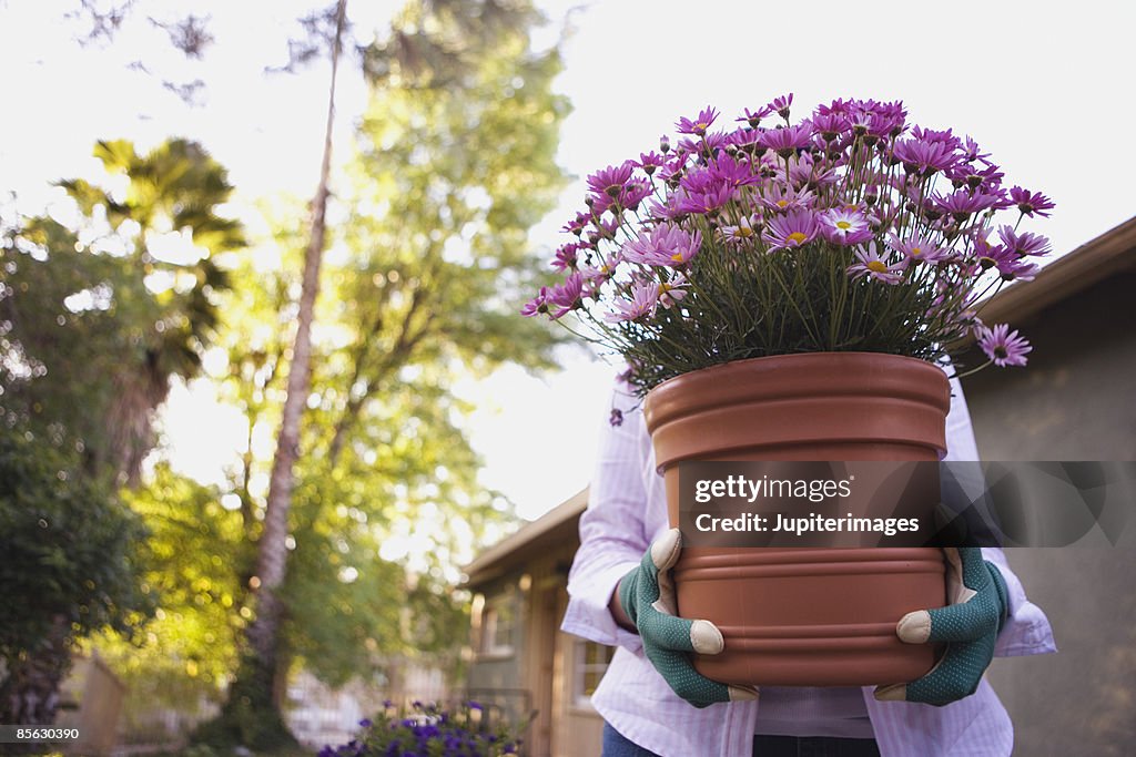 Woman carrying potted plant