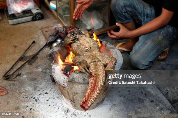 Cambodian hunter cooking a wild monitor lizard at his home.