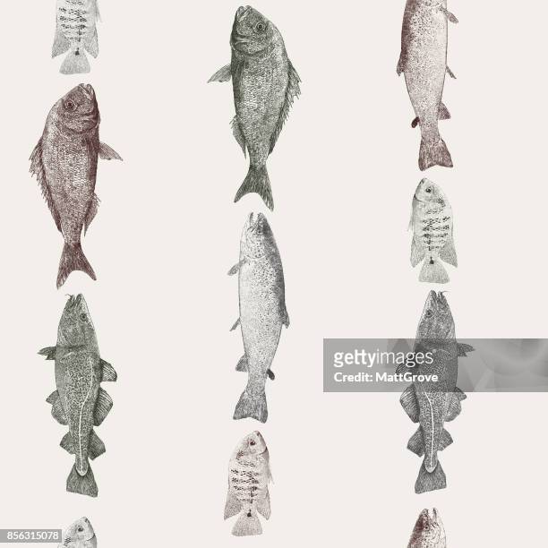 stockillustraties, clipart, cartoons en iconen met vis stripe terugkeerpatroon - fish
