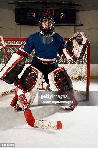 hockey goalie - mens ice hockey fotografías e imágenes de stock
