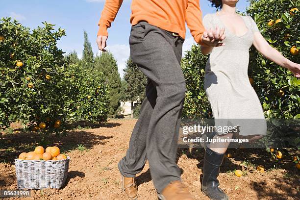 couple skipping in orange grove - skip stockfoto's en -beelden