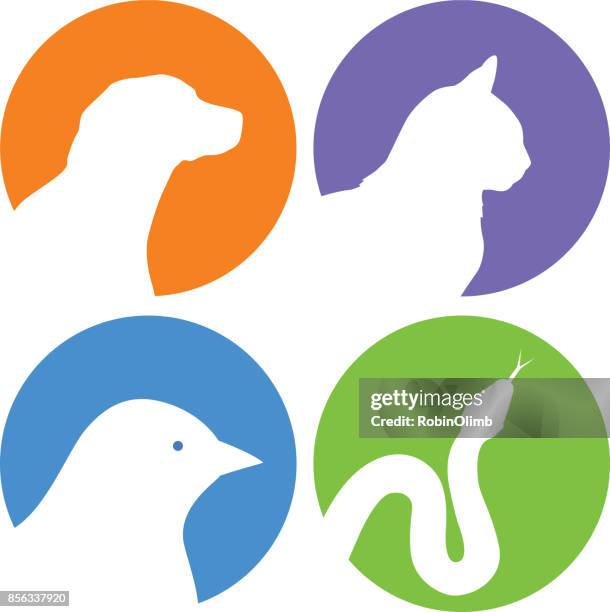 round dog cat bird snake icons - cat circle stock illustrations