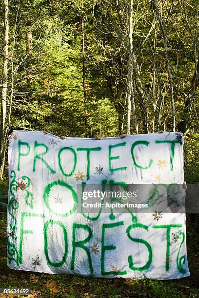 protect our forest sign in woods - anonymous aktivistengruppe stock-fotos und bilder