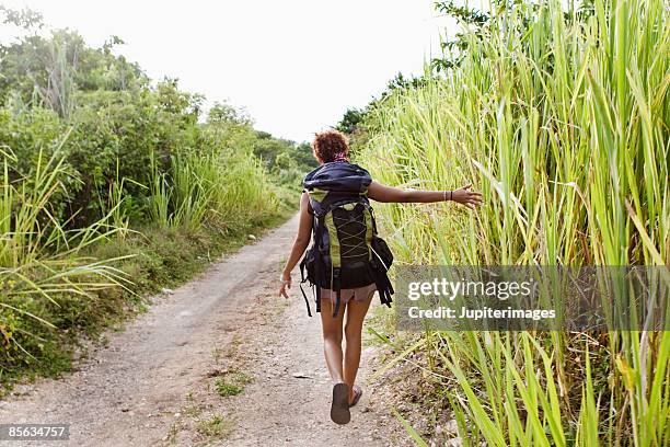 back view of backpacker - african american hiking stock-fotos und bilder