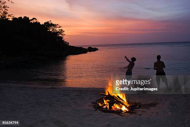 beach bonfire and silhouetted people - holzfeuer stock-fotos und bilder