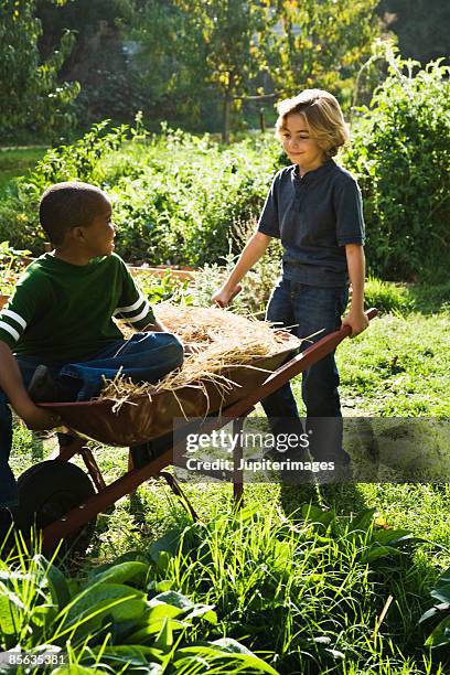 Wheelbarrow Ride Photos and Premium High Res Pictures - Getty Images