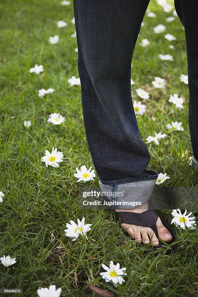 Man's foot on grass with daisies