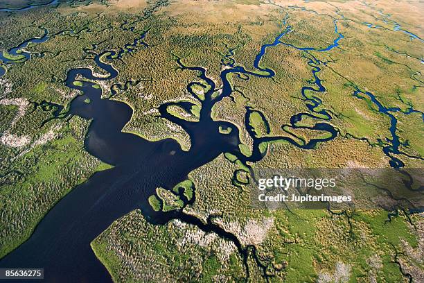 aerial view of florida everglades - creek stock pictures, royalty-free photos & images