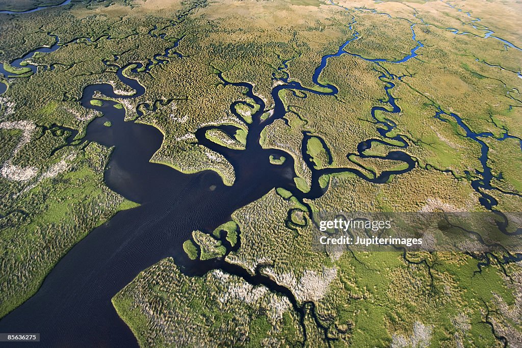Aerial view of Florida Everglades