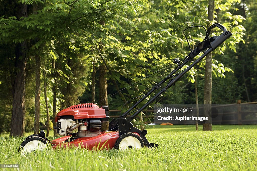 Lawnmower in yard