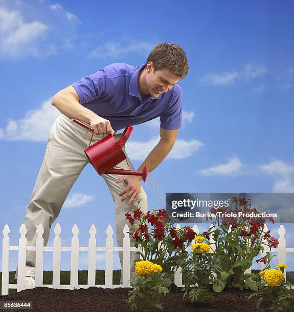 man watering flowers in garden - 30 34 år bildbanksfoton och bilder