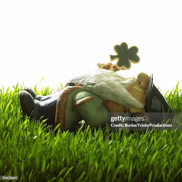 garden gnome lying down in grass - leprechaun stock pictures, royalty-free photos & images