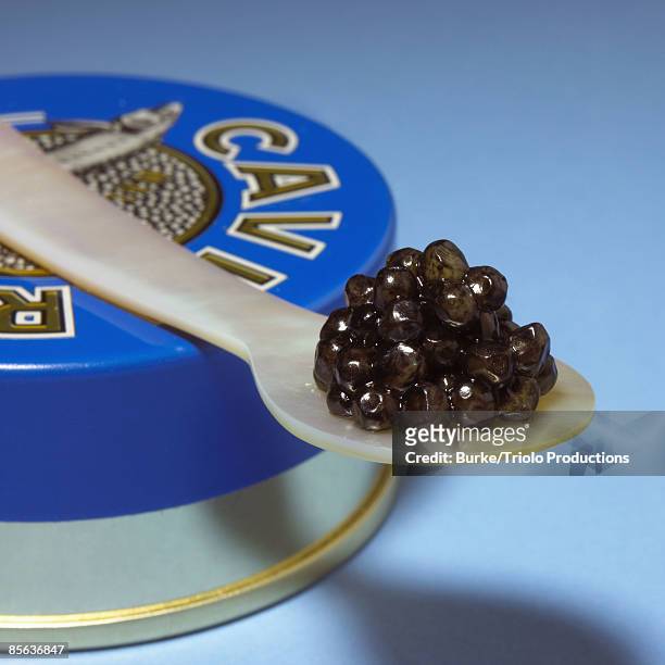 caviar on spoon - kaviaar stockfoto's en -beelden