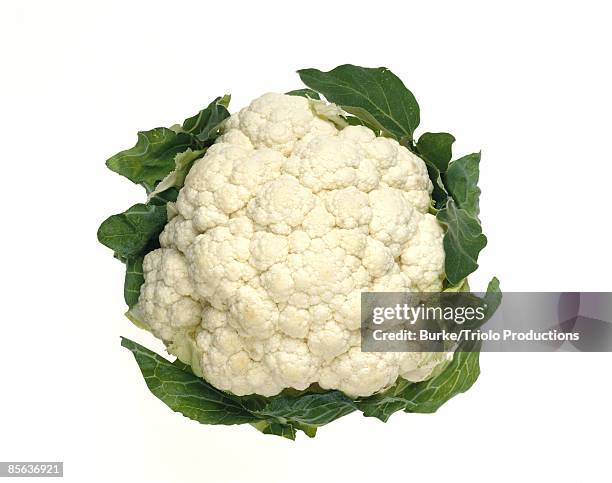 cauliflower - califlower stock-fotos und bilder