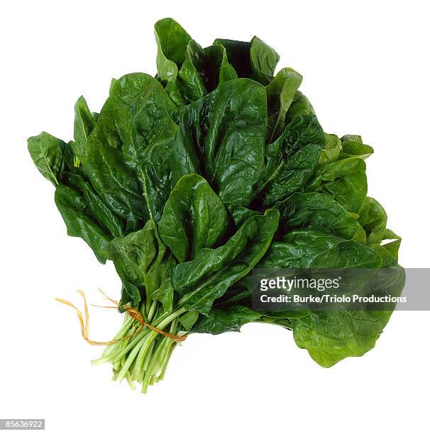 bunch of spinach - espinaca fotografías e imágenes de stock