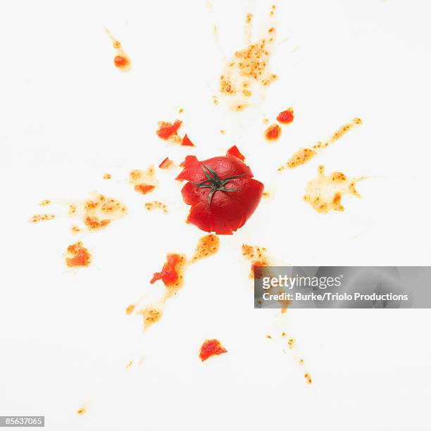 tomato splatter - throwing tomatoes stock pictures, royalty-free photos & images
