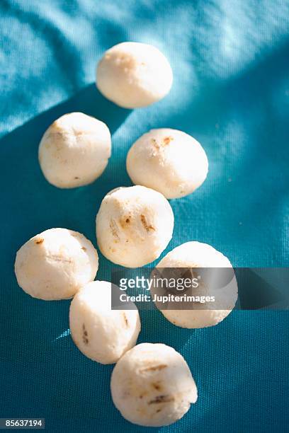 colombian white corn arepas - pain boule photos et images de collection