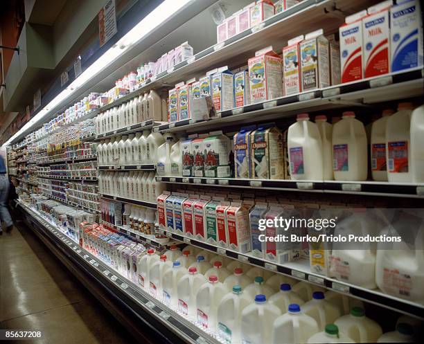 assortment of milk in grocery store - gallon stock pictures, royalty-free photos & images