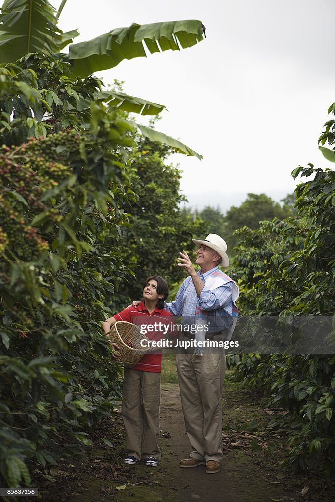Man and boy at coffee plantation , Colombia