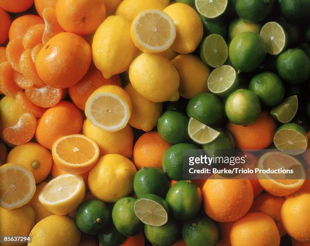 assortment of citrus fruit - agrumi foto e immagini stock