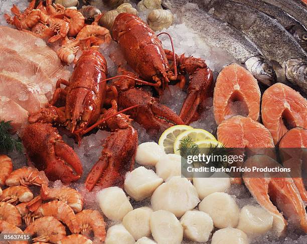 raw seafood - fish ice stock pictures, royalty-free photos & images