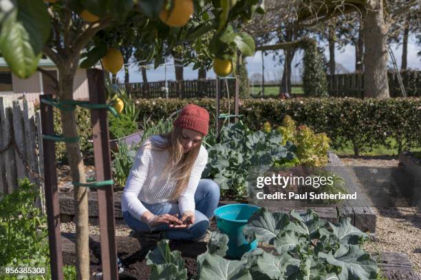 teenage girl doing gardening - matamata stock pictures, royalty-free photos & images