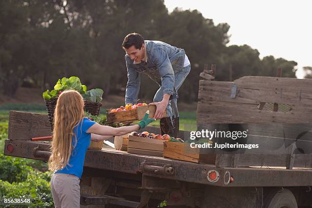 couple loading produce on a flatbed truck - fruit farm 個照片及圖片檔