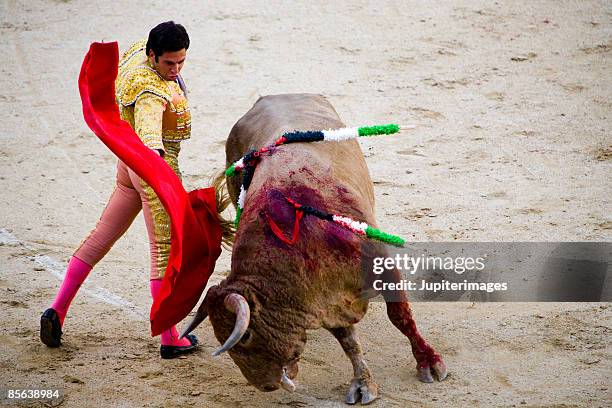 bullfighter and bull - corrida de touros imagens e fotografias de stock