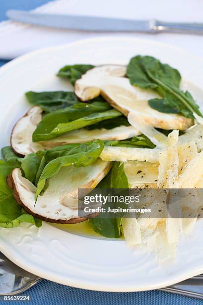 porcini mushroom , rucola and parmesan salad with olive oil pour - shaved parmesan cheese stock pictures, royalty-free photos & images