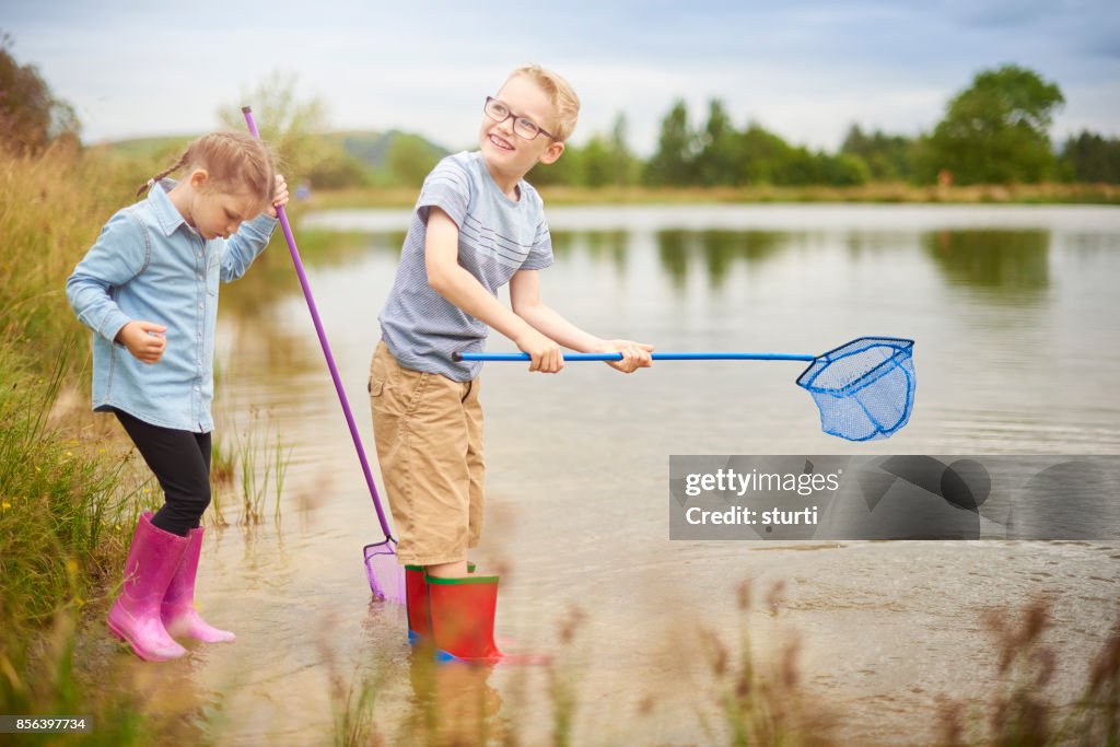 Pond dipping children