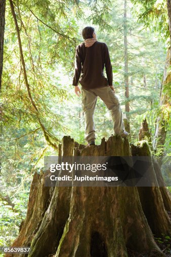 Man in forest on giant tree trunk