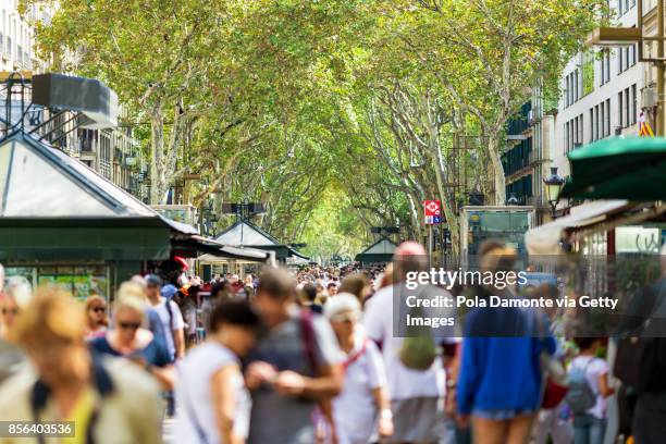 las ramblas scene at barcelona close to plaça de catalunya, spain. aftermath of the barcelona terror attack - aftermath of the barcelona terror attack stock-fotos und bilder