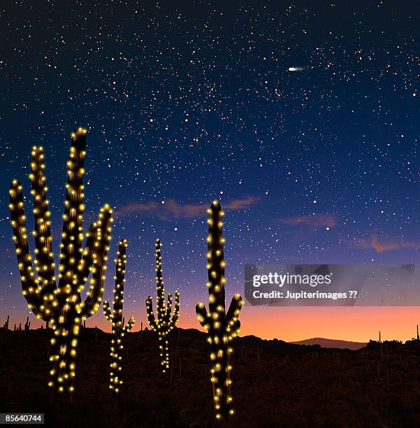 candelabra cacti with christmas candles - cactus stock pictures, royalty-free photos & images