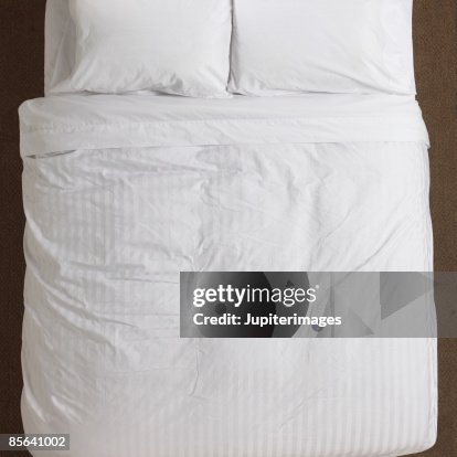 Bed Bed