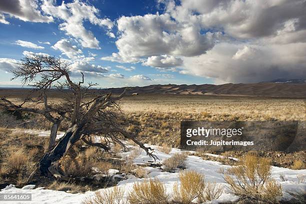 mountain landscape with snow, colorado - alamosa county stock pictures, royalty-free photos & images
