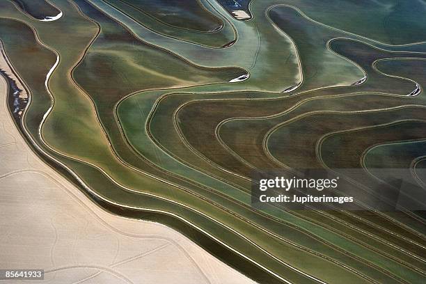 aerial shot of a forest - topographie stock-fotos und bilder