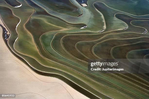 aerial shot of a forest - topographie photos et images de collection