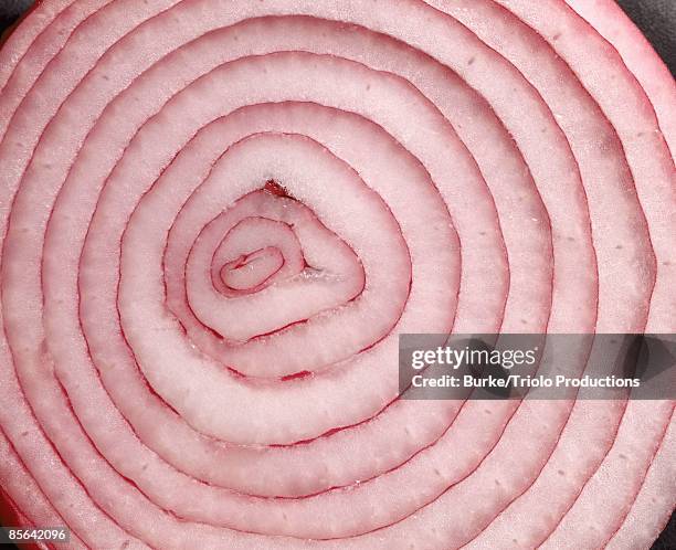 onion slice - onion slice stock pictures, royalty-free photos & images