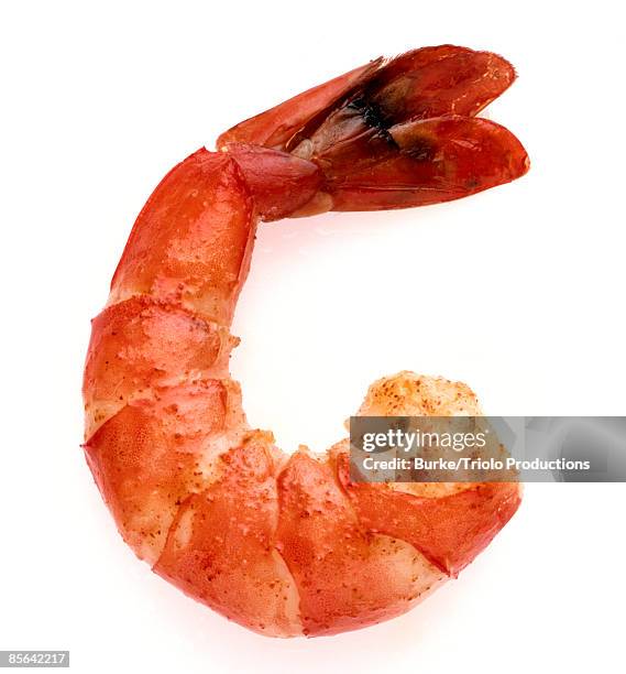 seasoned shrimp - tail fluke stock pictures, royalty-free photos & images