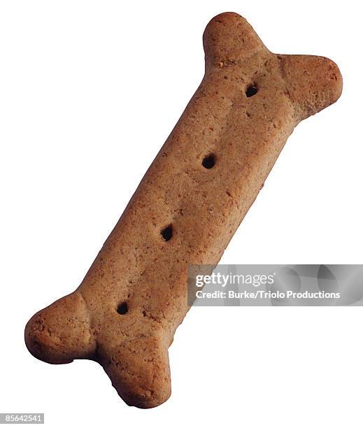 dog biscuit - dog biscuit stock pictures, royalty-free photos & images