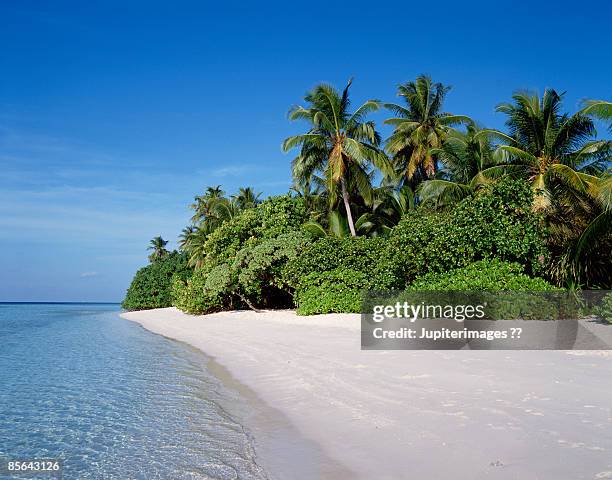 tropical island - einsame insel stock-fotos und bilder