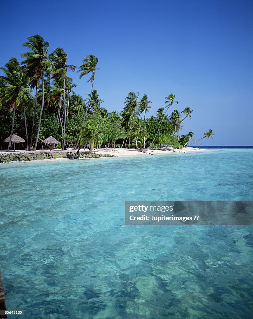 Tropical beach , Maldives , Indian Ocean