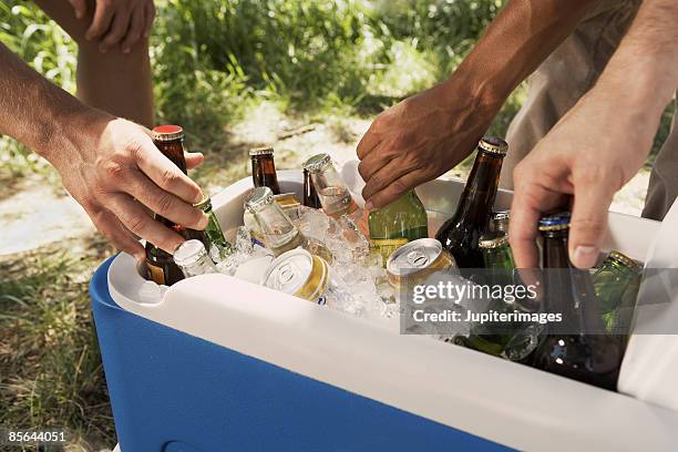 hands with cooler and drinks - beer bottle stock pictures, royalty-free photos & images