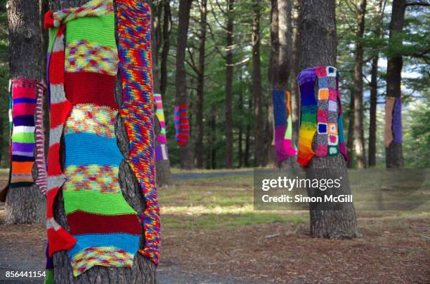 yarn bombing on trees at the national arboretum, canberra, australian capital territory, australia - yarn bombing stock pictures, royalty-free photos & images