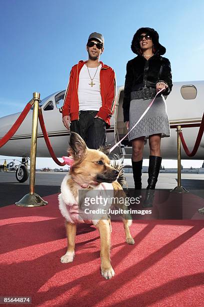 fashionable couple with airplane and red carpet - celebrity dog stock pictures, royalty-free photos & images