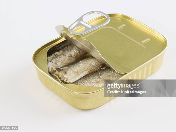 can of sardines - sardine can foto e immagini stock