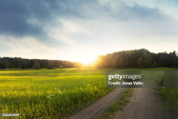 landsakap 私スウェーデン - meadow forest ストックフォトと画像