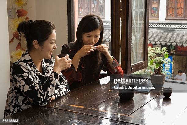 two women drinking tea - tea room stock-fotos und bilder