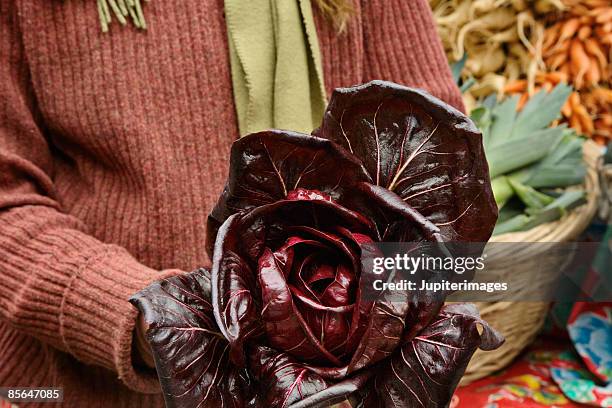 person holding radicchio - radicchio ストックフォトと画像